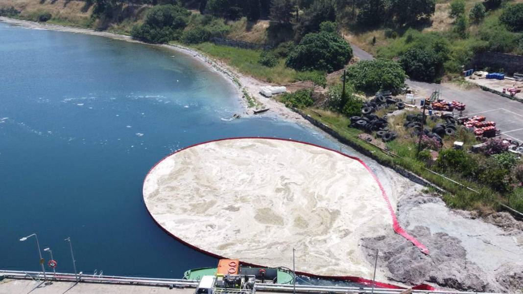 Uzmanından Marmara Denizi uyarısı: Oksijen azaldı, istilacı türler arttı 9