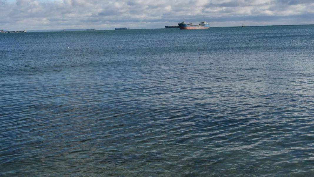 Uzmanından Marmara Denizi uyarısı: Oksijen azaldı, istilacı türler arttı 7