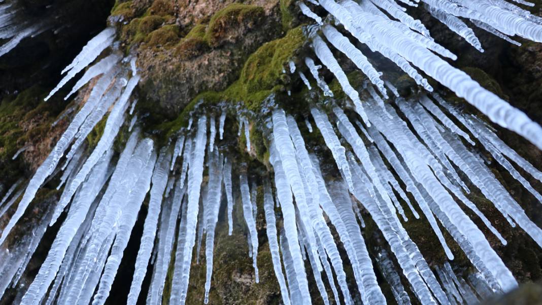 Girlevik Şelalesi'nde buz sarkıtları oluştu 2