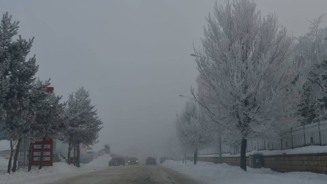 Doğu Anadolu Sibirya soğuklarına teslim: Sokağa çıkanın kirpikleri buz tuttu 14