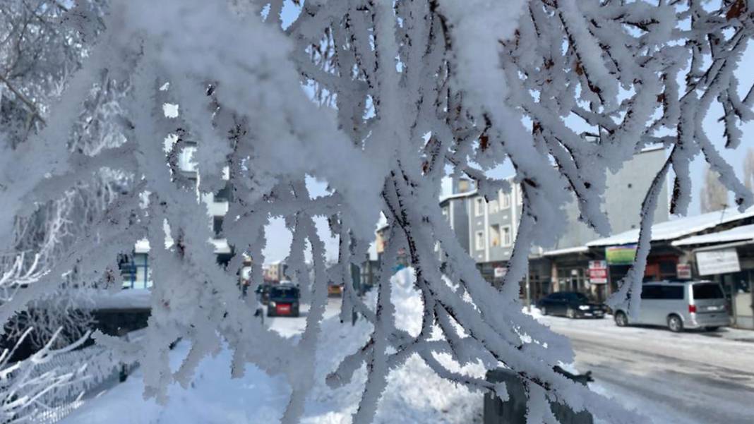 Doğu Anadolu Sibirya soğuklarına teslim: Sokağa çıkanın kirpikleri buz tuttu 8