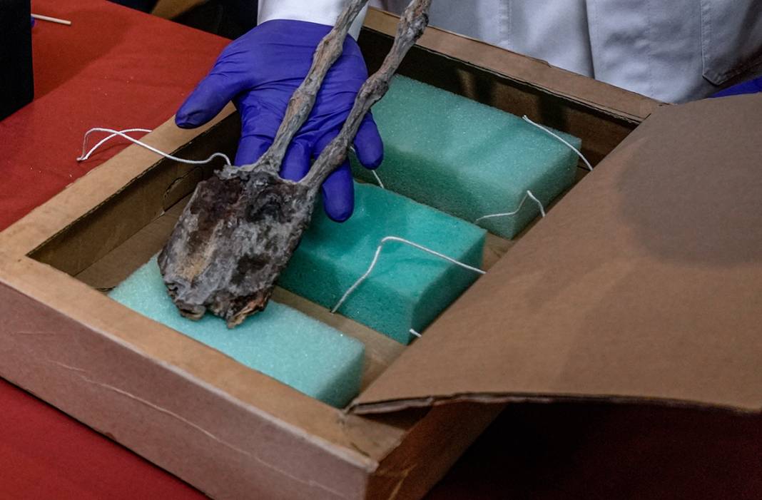 Önce Meksika şimdi Peru: 'Uzaylı mumyaların' gizemi çözüldü 6