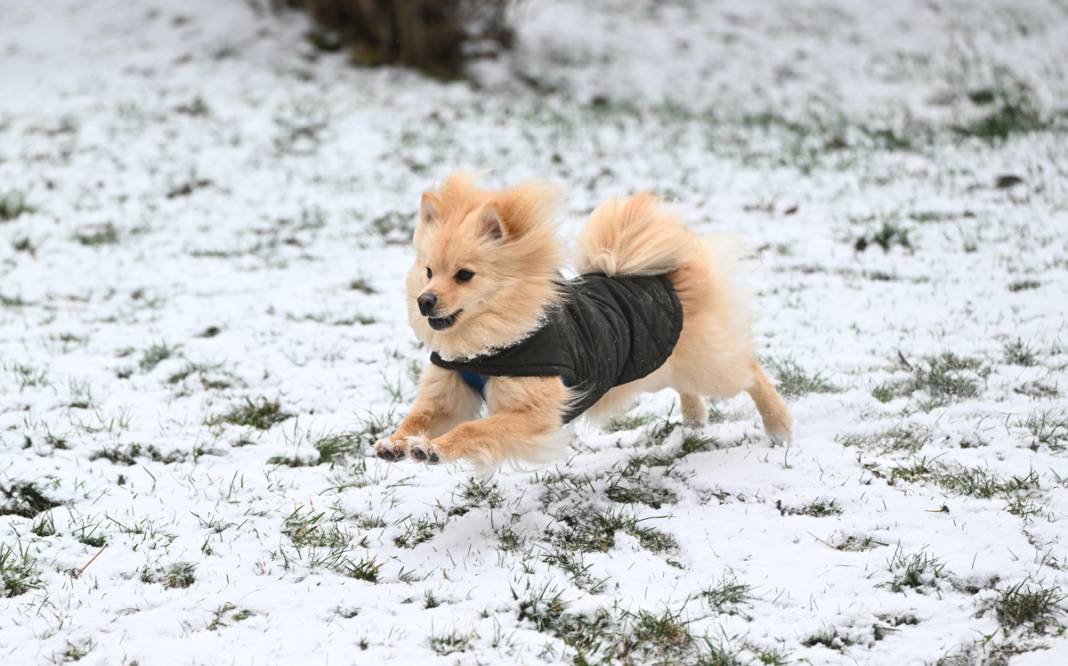 Başkent beyaza büründü: Ankaralılar karın tadını çıkardı 12