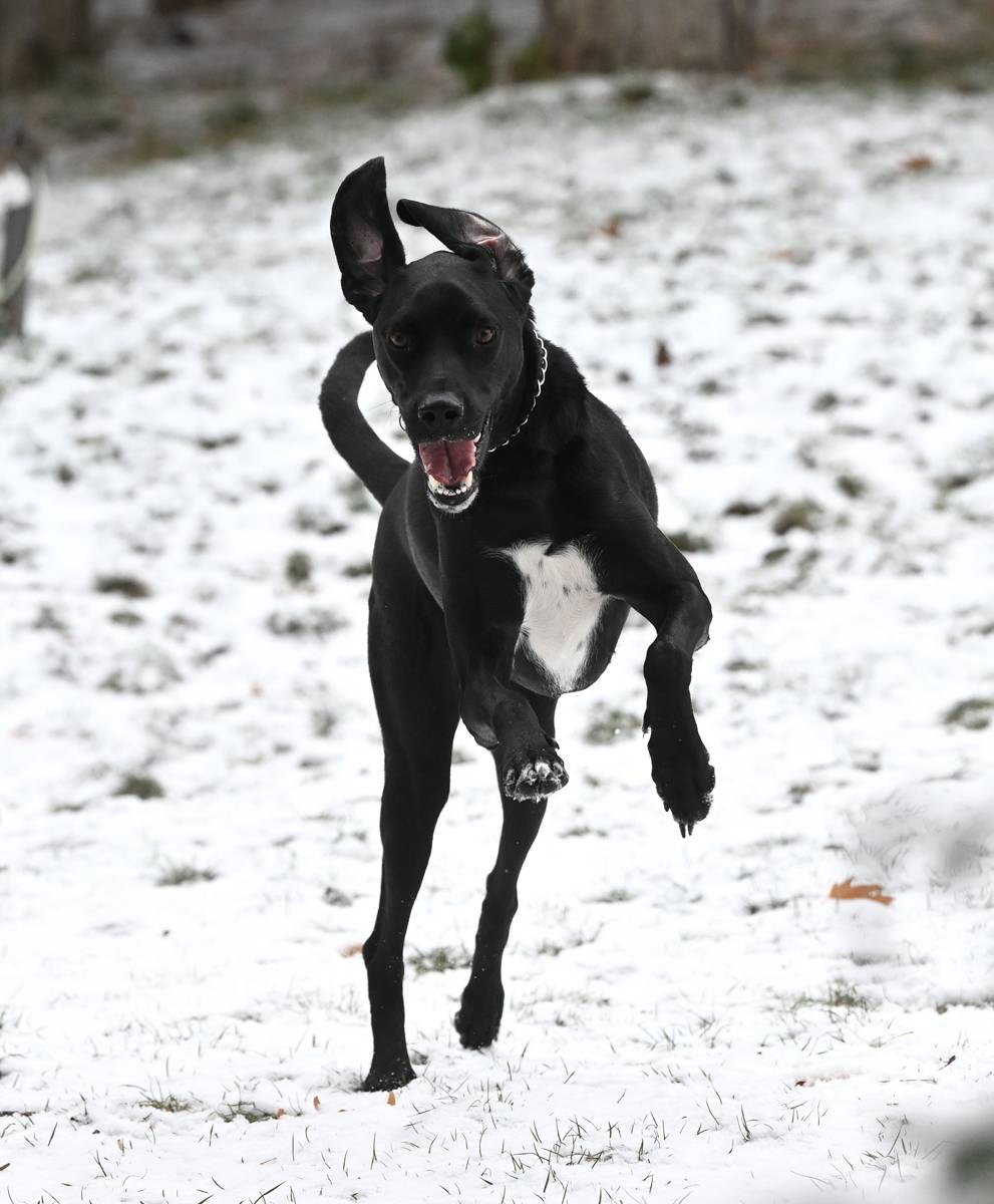Başkent beyaza büründü: Ankaralılar karın tadını çıkardı 13