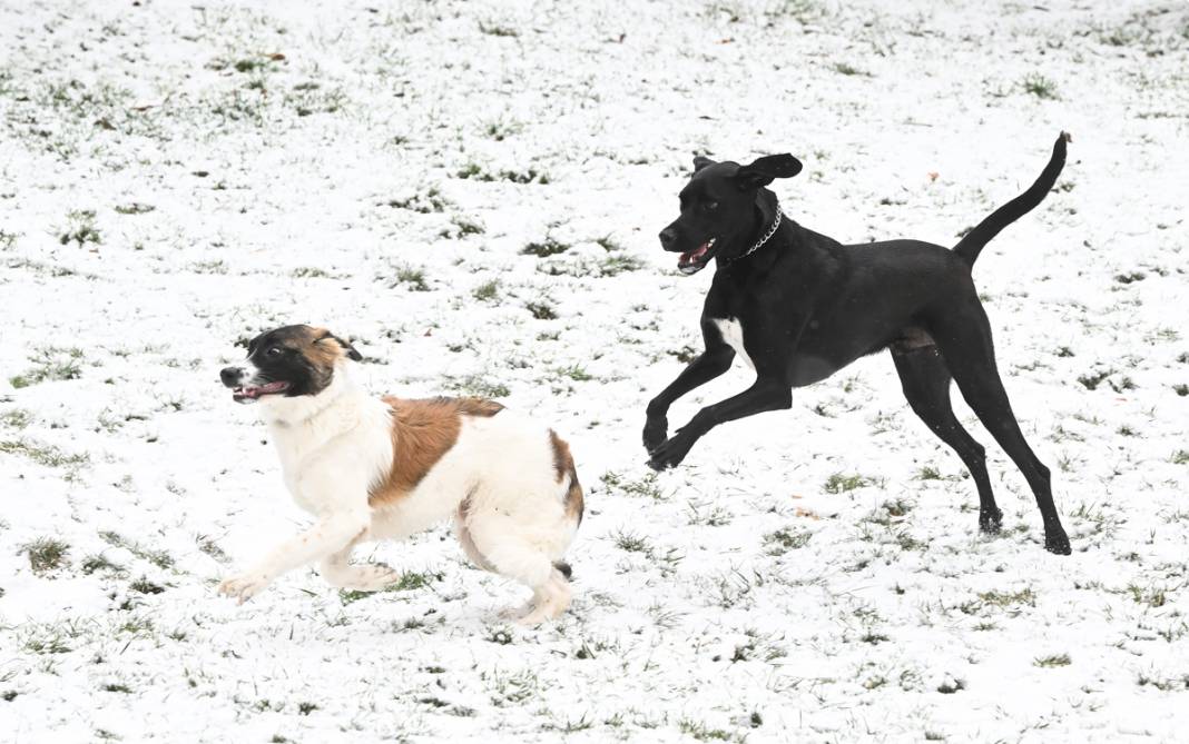 Başkent beyaza büründü: Ankaralılar karın tadını çıkardı 6