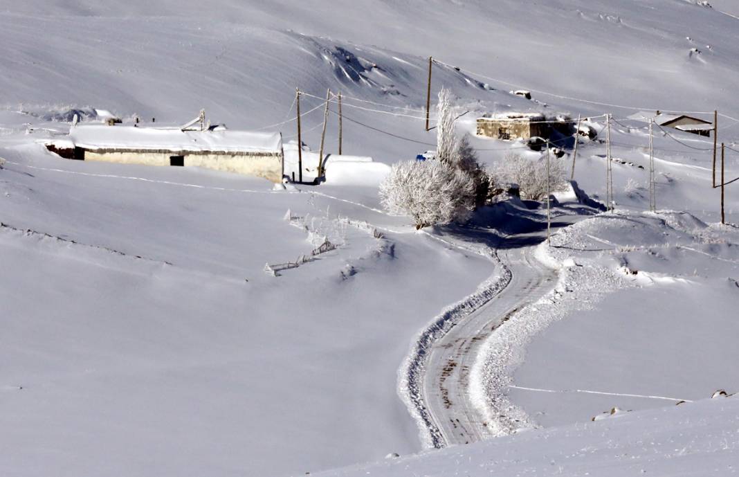 Ardahan buz kesti: Termometreler eksi 32'yi gösterdi 15