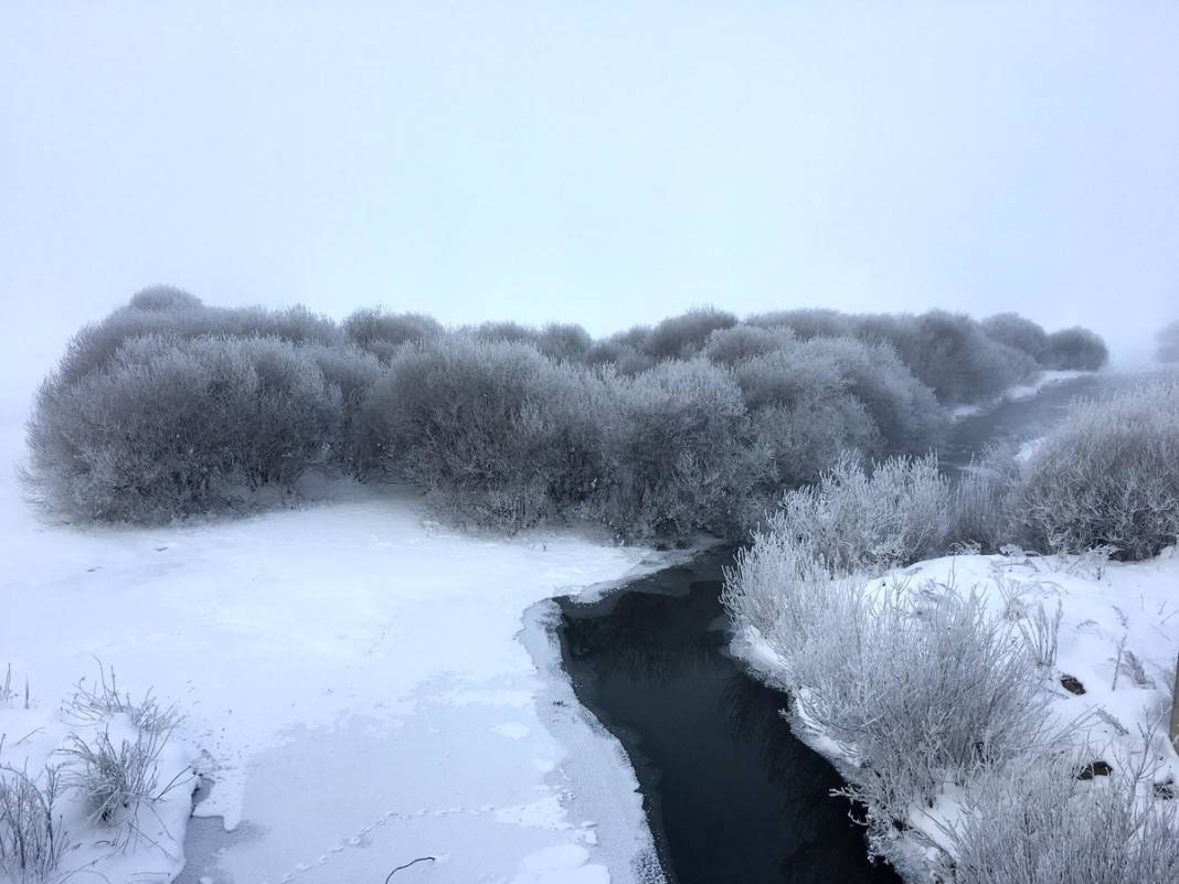 Ardahan buz kesti: Termometreler eksi 32'yi gösterdi 3