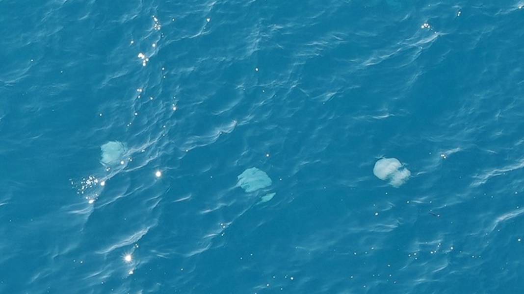 Antalya sahillerinde korkutan görüntü 5