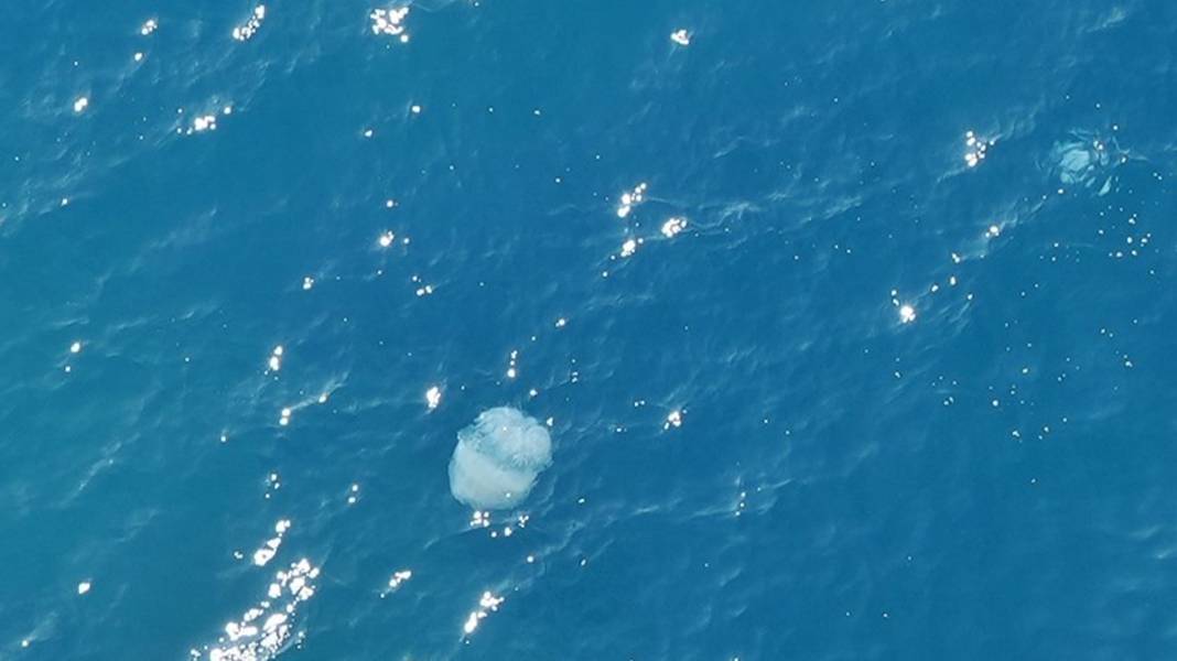 Antalya sahillerinde korkutan görüntü 6