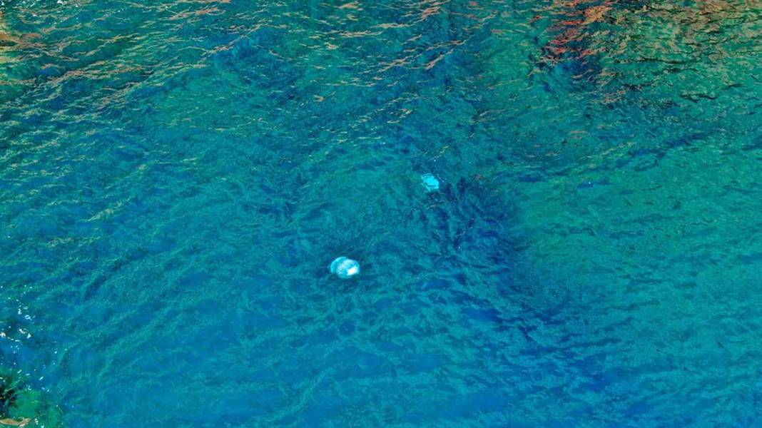 Antalya sahillerinde korkutan görüntü 4