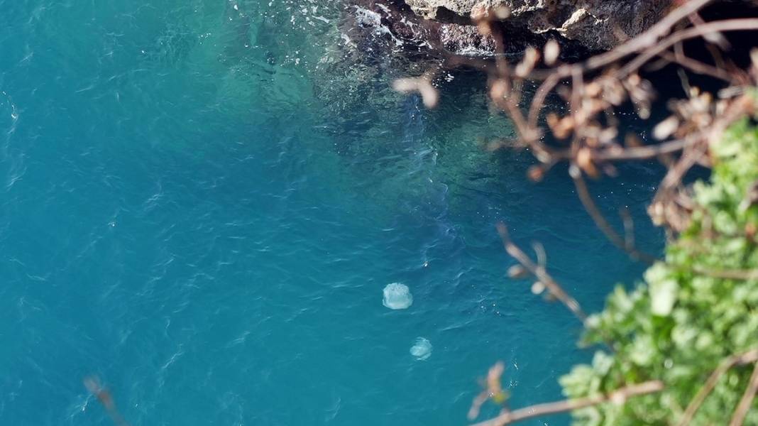 Antalya sahillerinde korkutan görüntü 1