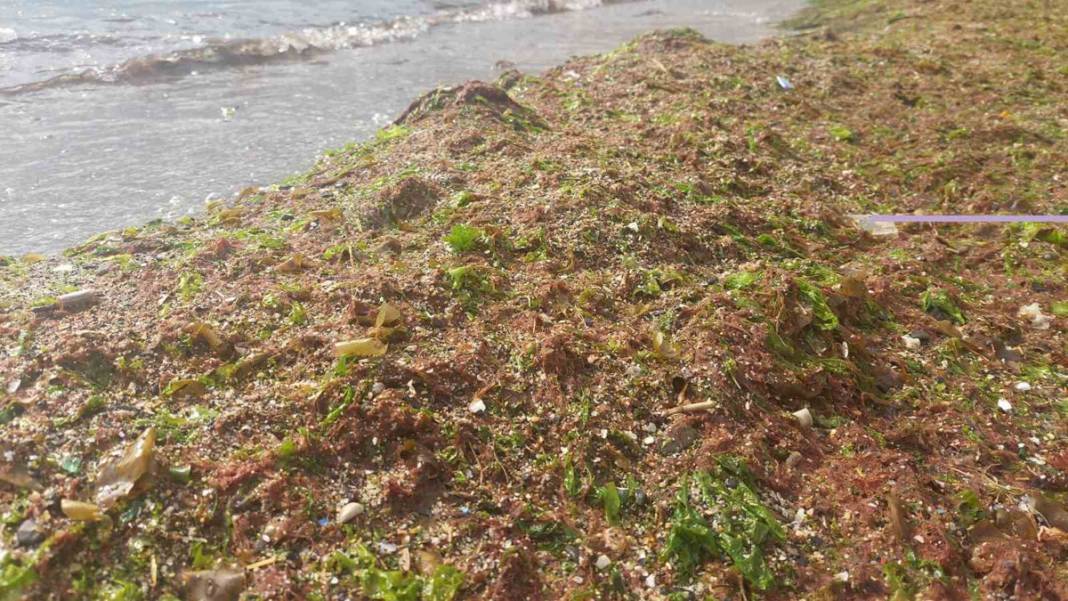 Marmara Denizi'nde lodos fırtınası: Tekirdağ kıyıları kızıla boyadı 1