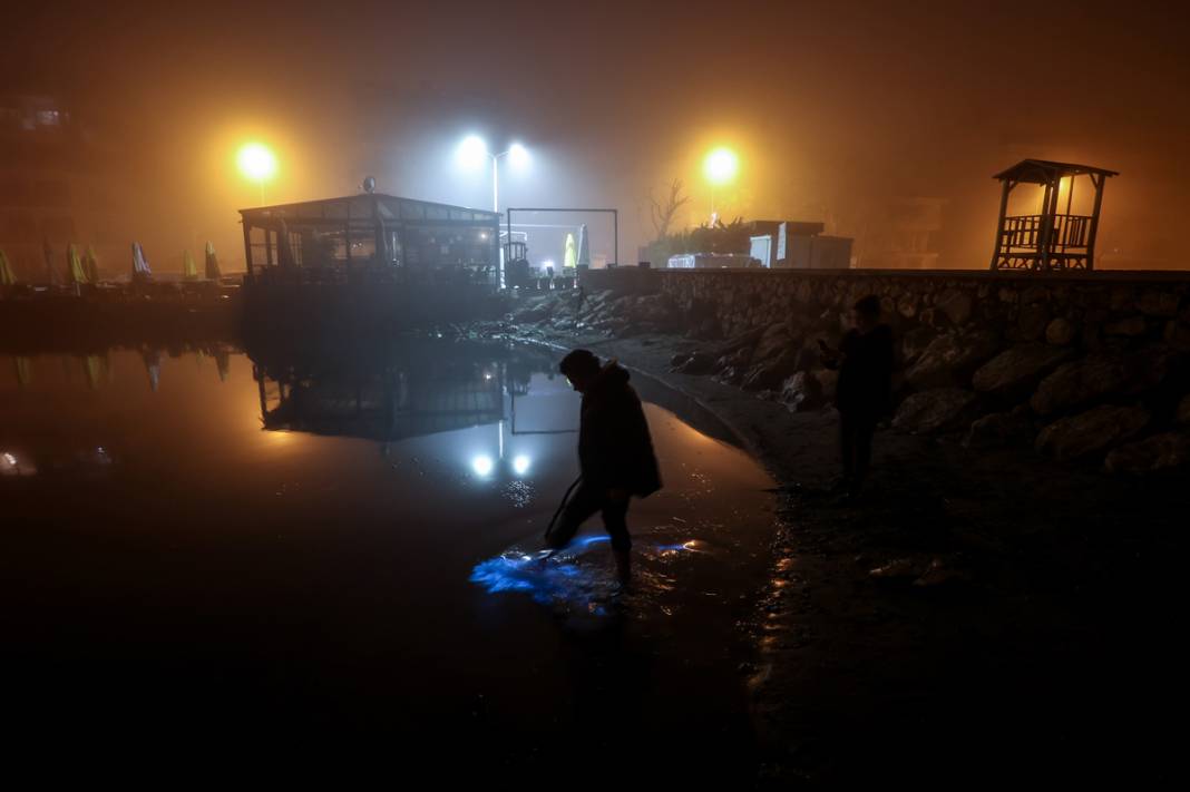 Marmara'da mikroskobik canlılar çoğaldı: Deniz suyu mavi oldu 8