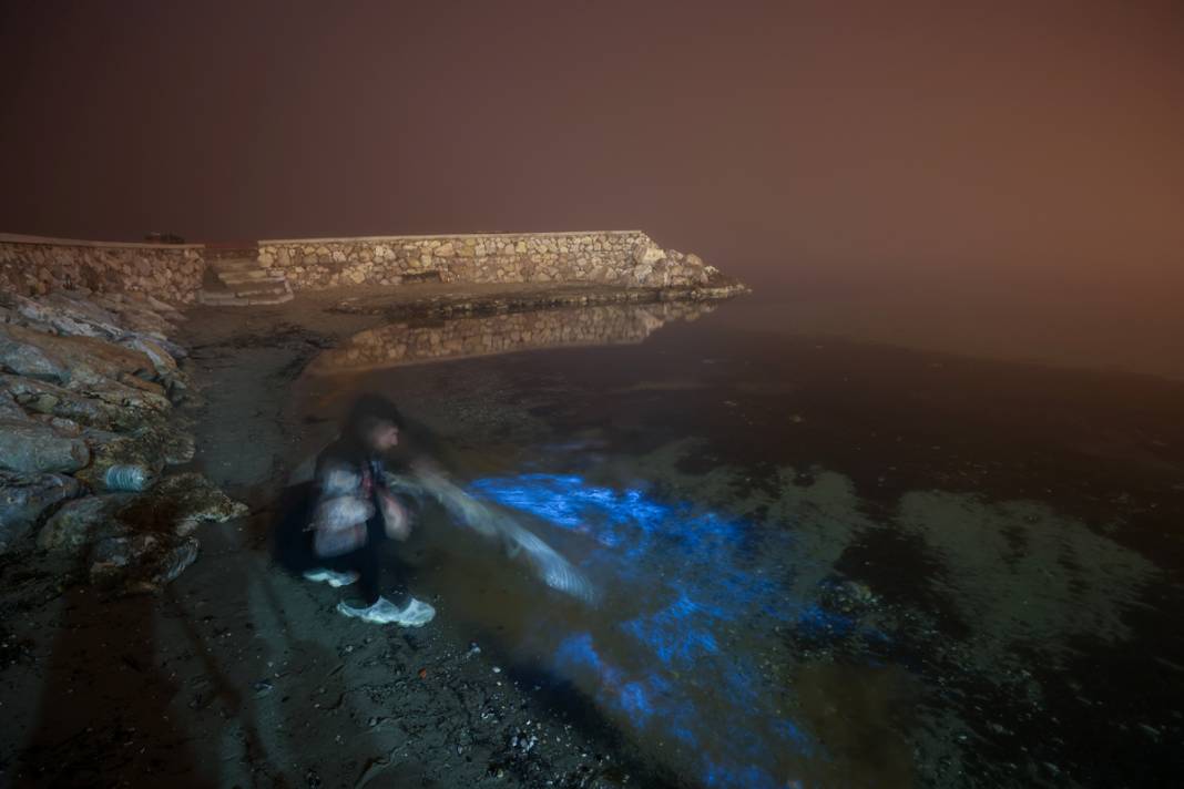 Marmara'da mikroskobik canlılar çoğaldı: Deniz suyu mavi oldu 6