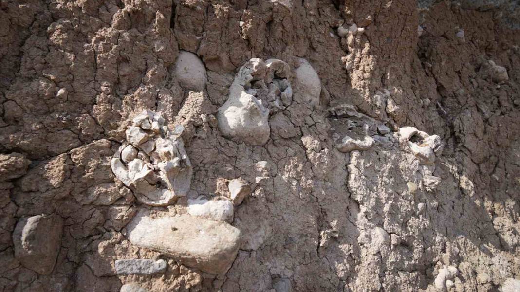 Niğde’de dinozor fosili iddiası 7