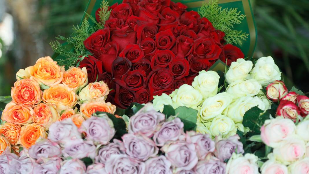 Sevgililer Günü yaklaştı, fiyatlar arttı: Serada 20 lira, çiçekçide 100 lira 8