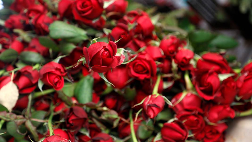 Sevgililer Günü yaklaştı, fiyatlar arttı: Serada 20 lira, çiçekçide 100 lira 2