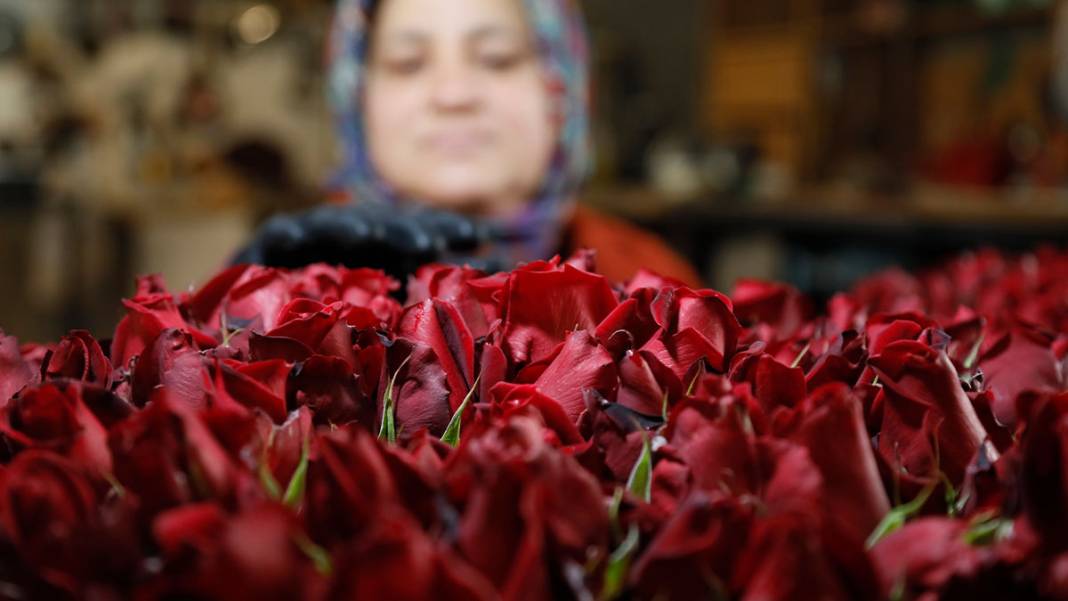 Sevgililer Günü yaklaştı, fiyatlar arttı: Serada 20 lira, çiçekçide 100 lira 6