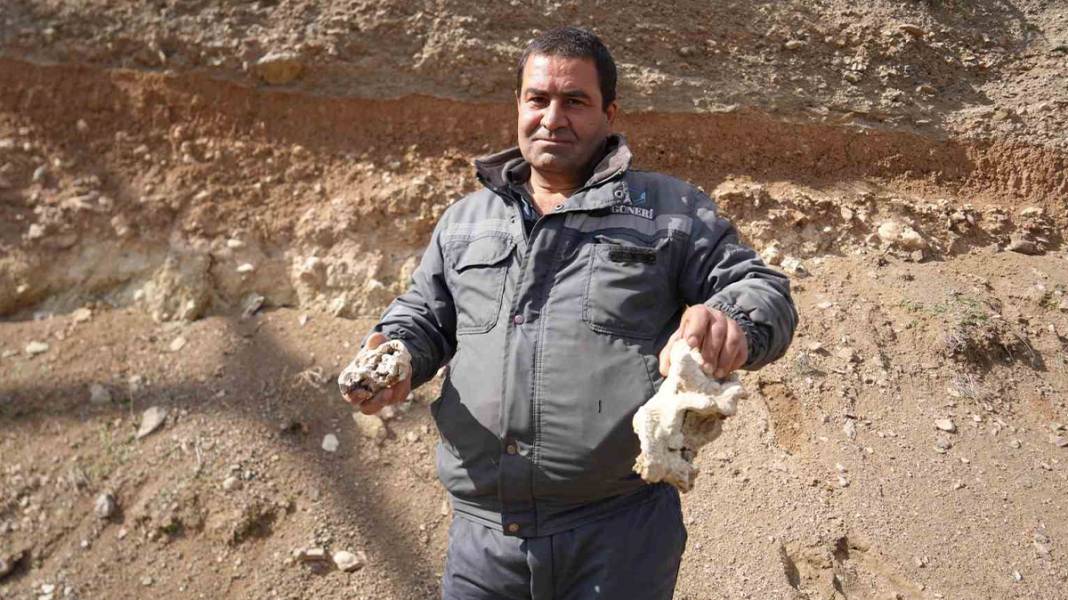 Niğde’de dinozor fosili iddiası 5