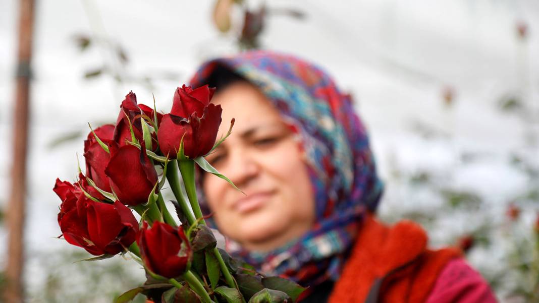 Sevgililer Günü yaklaştı, fiyatlar arttı: Serada 20 lira, çiçekçide 100 lira 7