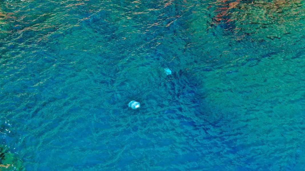 Antalya sahillerinde korkutan görüntü 8