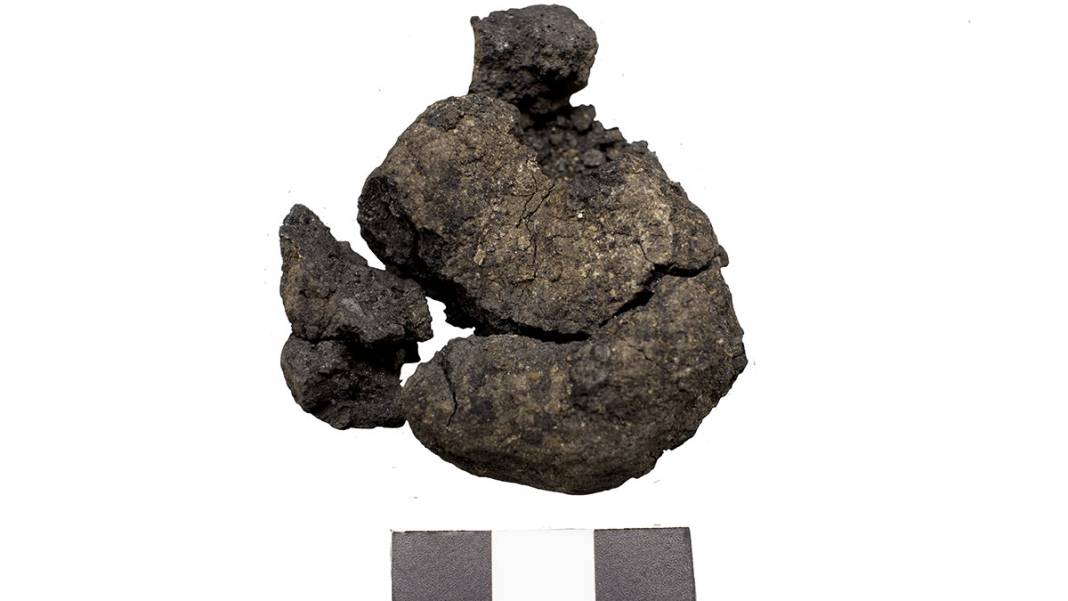 Çatalhöyük'te 8 bin 600 yıllık 'ekmek' 4