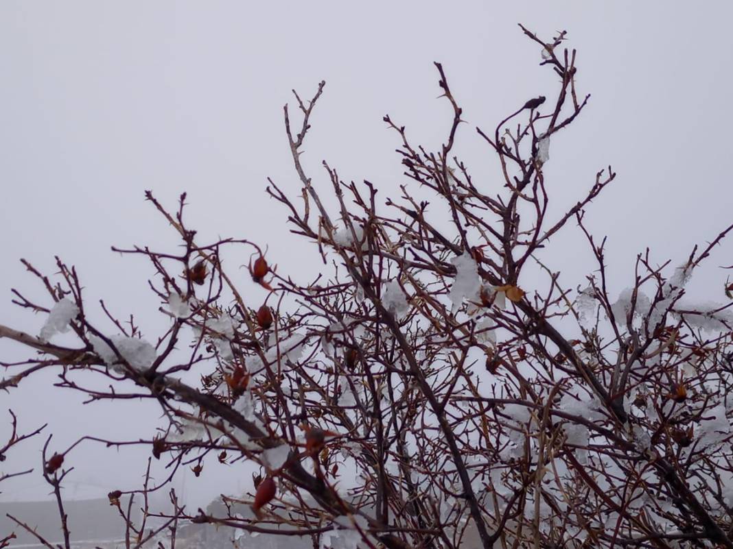 Kars'a nisanda kar sürprizi: Kar kalınlığı yer yer 5 metreyi buldu 8