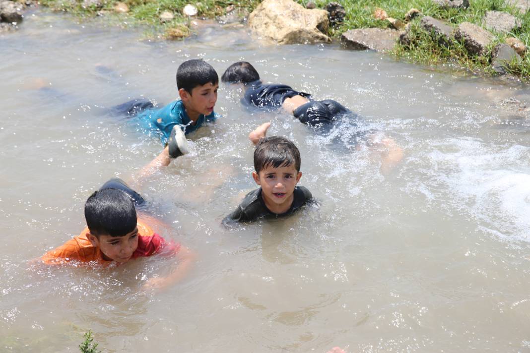 Şanlıurfa'da kavurucu sıcaklar etkili oluyor: Termometreler 50 dereceyi gösterdi 6