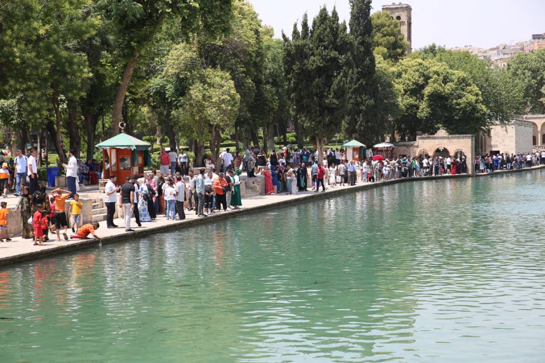 Şanlıurfa'da kavurucu sıcaklar etkili oluyor: Termometreler 50 dereceyi gösterdi 3