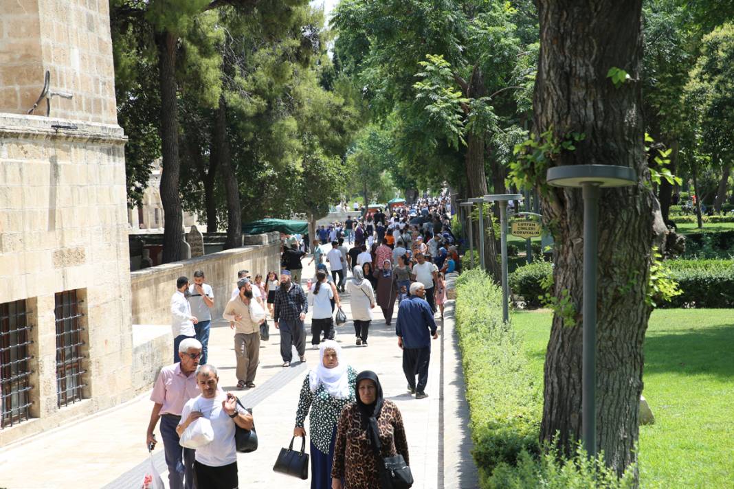 Şanlıurfa'da kavurucu sıcaklar etkili oluyor: Termometreler 50 dereceyi gösterdi 1