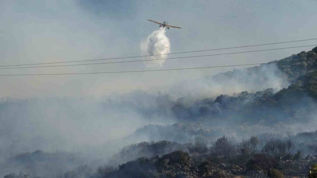 7 bin yıllık Assos Antik Kenti küle döndü: 43 futbol sahası büyüklüğünde alan yandı 9