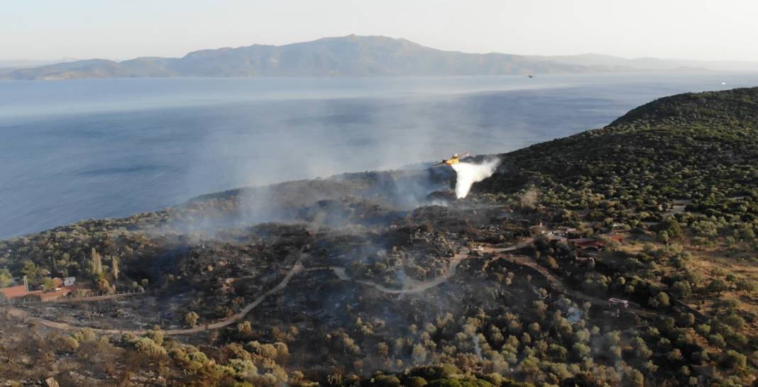 7 bin yıllık Assos Antik Kenti küle döndü: 43 futbol sahası büyüklüğünde alan yandı 5