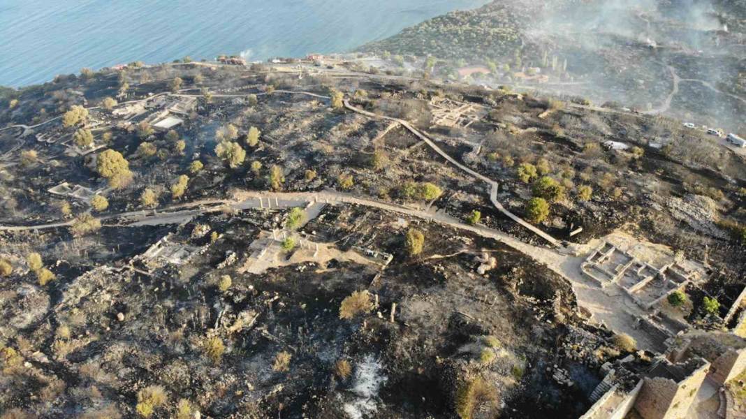 7 bin yıllık Assos Antik Kenti küle döndü: 43 futbol sahası büyüklüğünde alan yandı 1