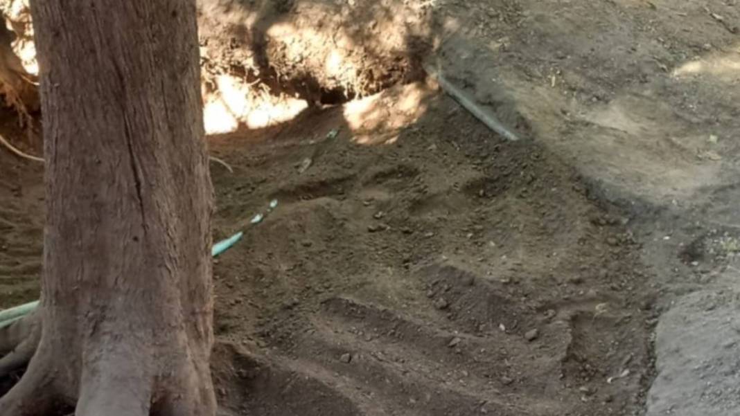 İstanbul'un göbeğinde güpegündüz kazı! Defineciler şehitliği talan etmiş 2