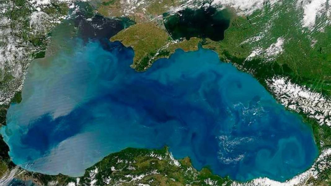 Prof. Dr. Osman Bektaş: Sürekli ısınan Karadeniz ölüyor 2