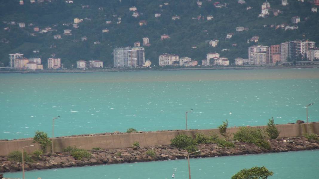 Prof. Dr. Osman Bektaş: Sürekli ısınan Karadeniz ölüyor 3