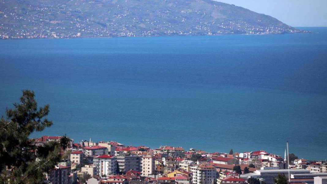 Prof. Dr. Osman Bektaş: Sürekli ısınan Karadeniz ölüyor 4