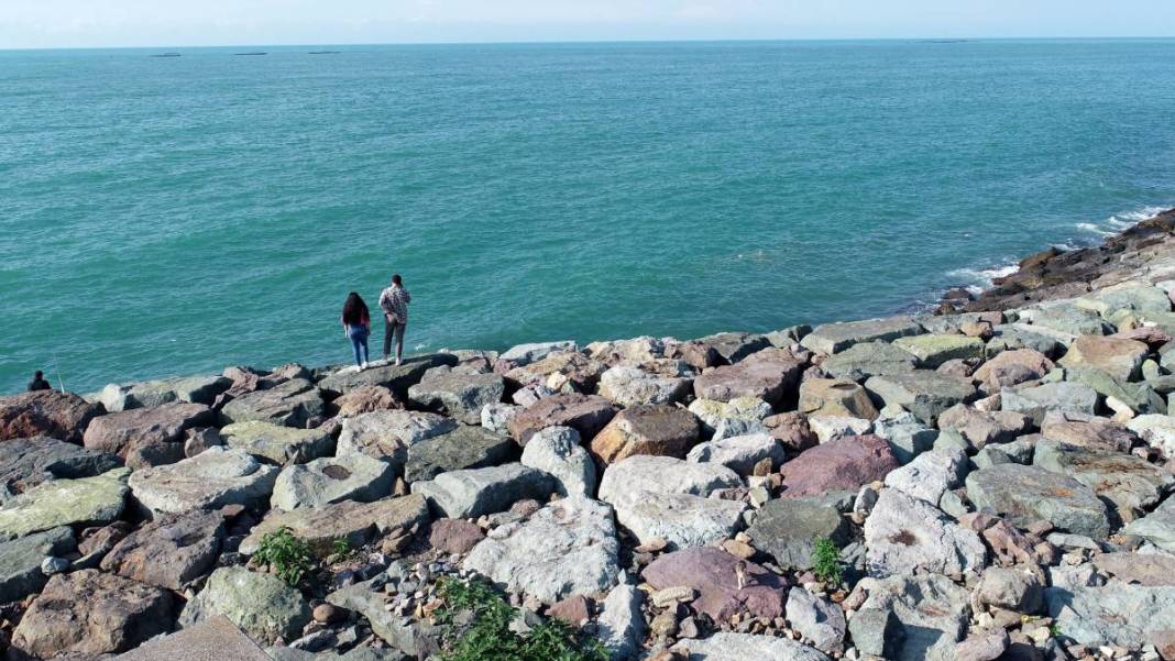 Prof. Dr. Osman Bektaş: Sürekli ısınan Karadeniz ölüyor 6