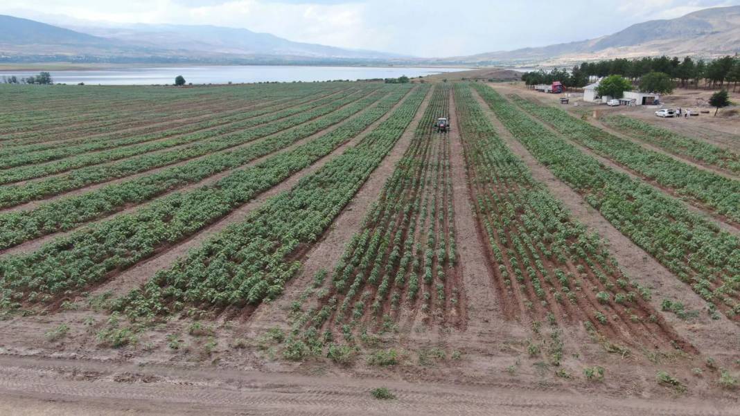 Bedava versen almam denilen yeri aldı, ekti biçti! Denizi olmayan adada ilk hasat başlıyor 2