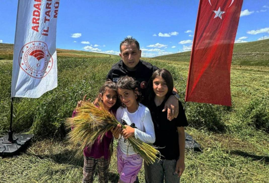 Bu sene ilk kez ekildi! Hayvanlar için yetiştirilen ürüne talep yağıyor: Yiyen hayvan bol bol süt veriyor 3