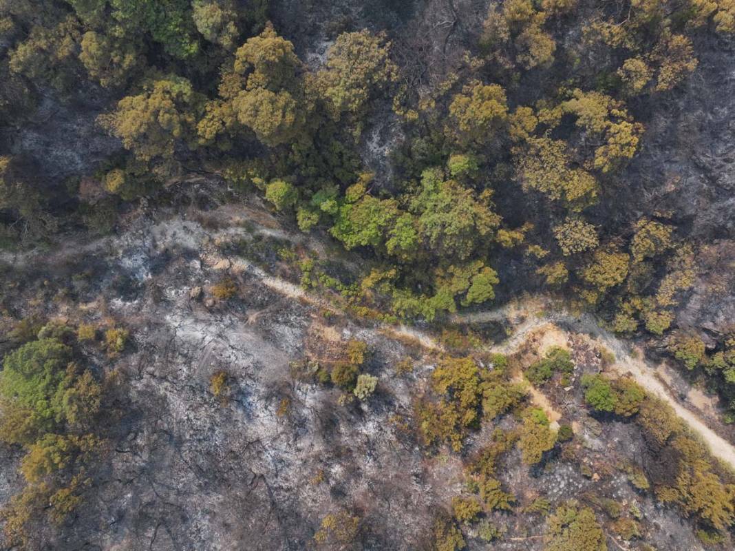 İzmir'in ciğerleri küle döndü... Yangının verdiğini zarar havadan görüntülendi 8