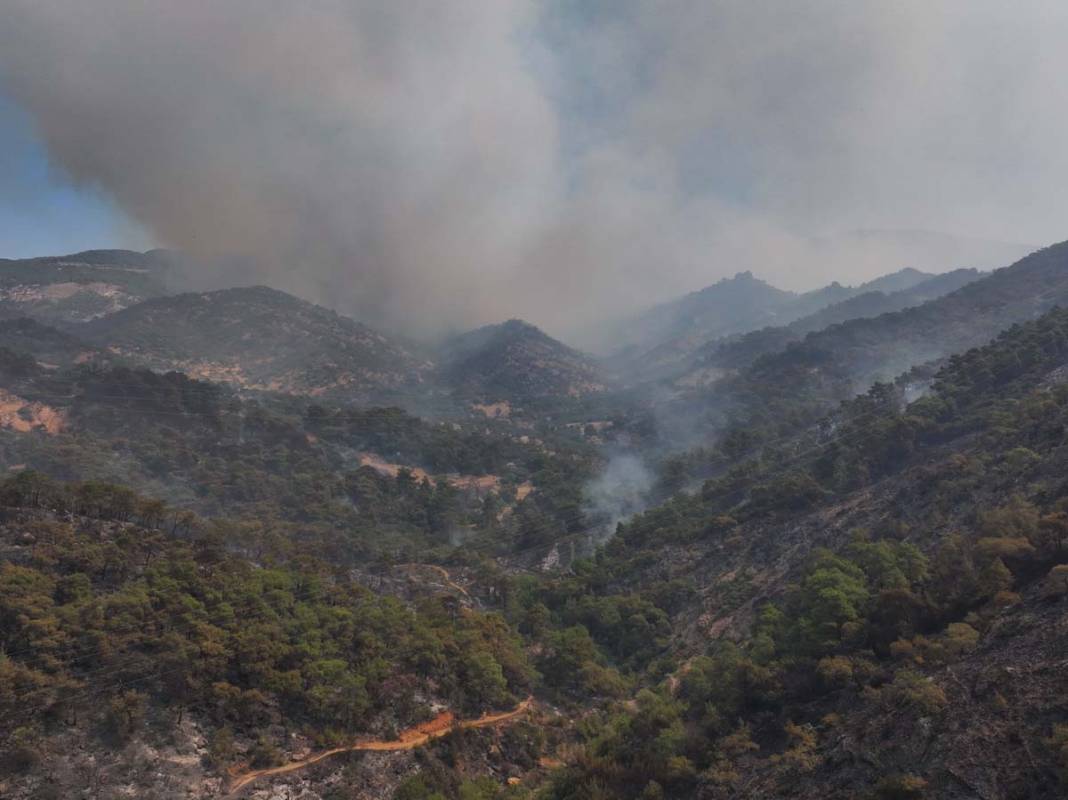 İzmir'in ciğerleri küle döndü... Yangının verdiğini zarar havadan görüntülendi 6
