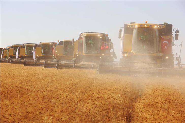 Sofralar bereketlenecek! O ilimizde rekor üretim, çiftçilere hasadı bitiremiyor: Yüzde 15 arttı 5