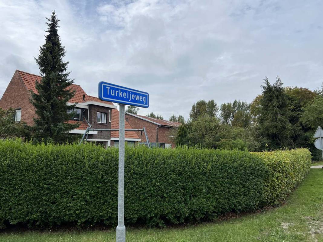 Hollanda’da ‘Türkiye’ köyü: İçinde bir Türk bile yaşamıyor 3