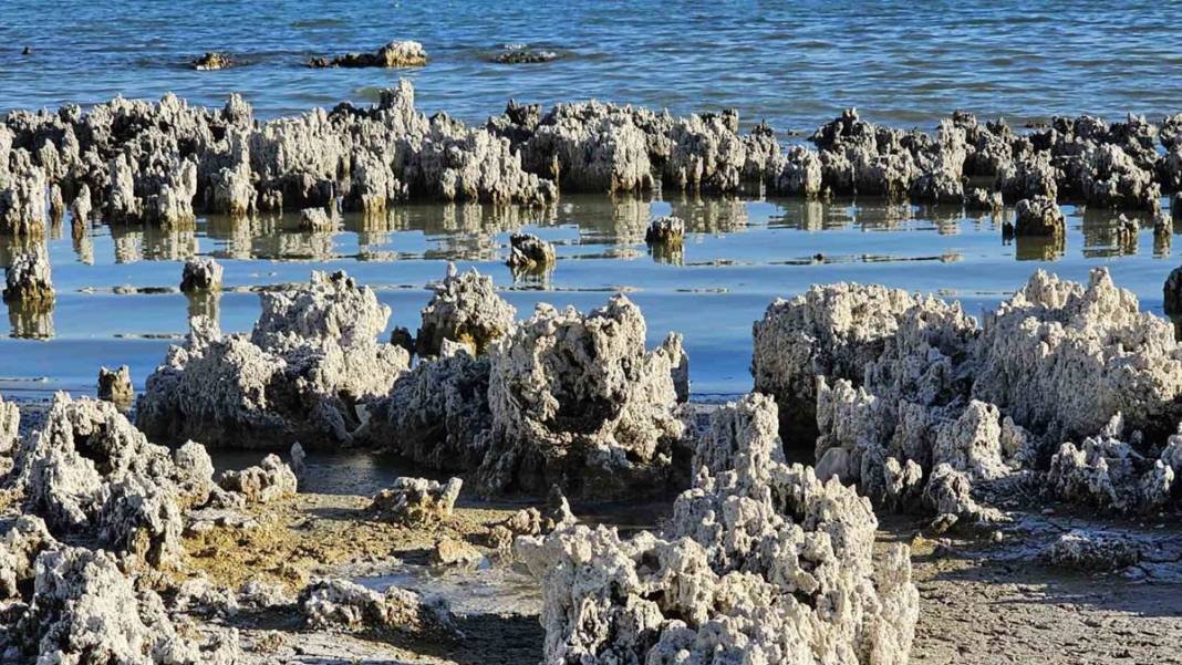 Van Gölü'nde korkutan görüntü 3