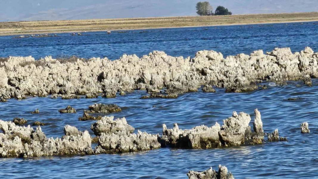 Van Gölü'nde korkutan görüntü 1