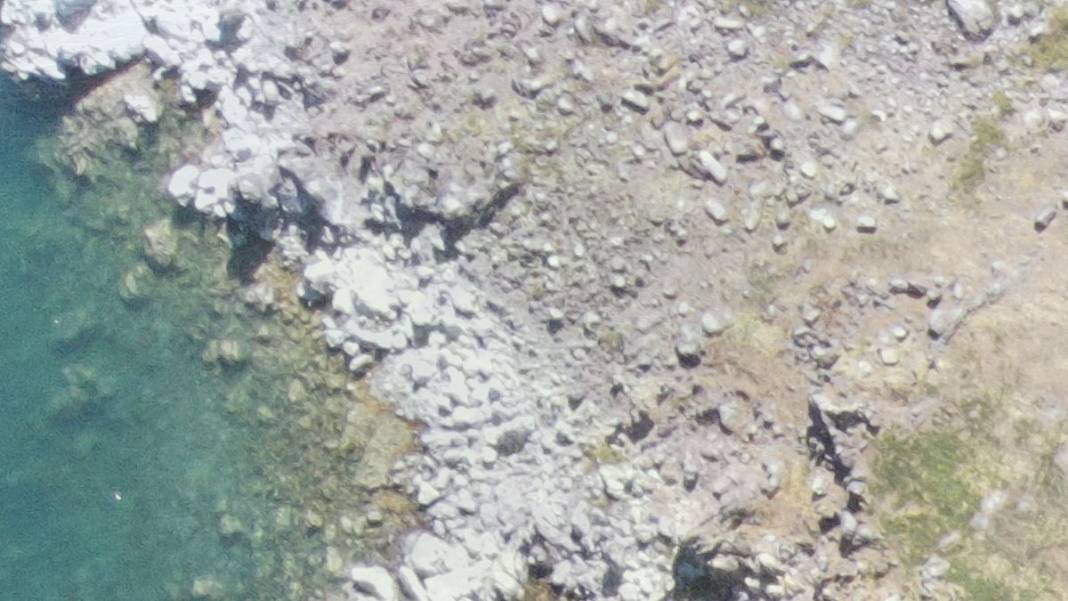 Van Gölü'nde korkutan görüntü 4