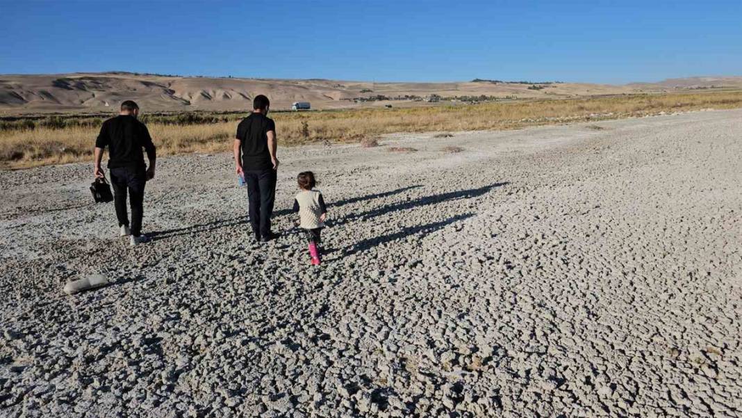 Van Gölü'nde korkutan görüntü 2