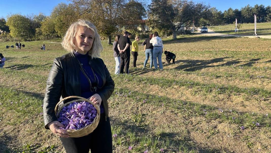 Dünyanın en pahalı baharatı o kentimizde yetişiyor! Kilogram fiyatı dudak uçuklattı 6