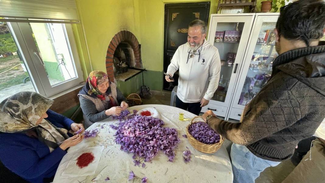 Dünyanın en pahalı baharatı o kentimizde yetişiyor! Kilogram fiyatı dudak uçuklattı 8